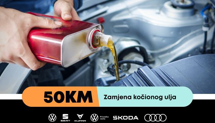 Kočiono ulje